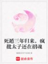 死遁三年归来,疯批太子还在招魂