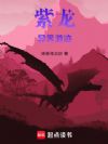 紫龙异界游迹