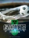 绿茵峥嵘